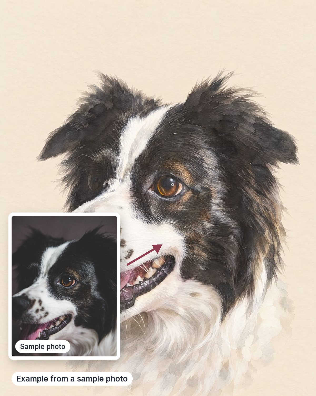 Example from a sample photo, shown next to the sample photo