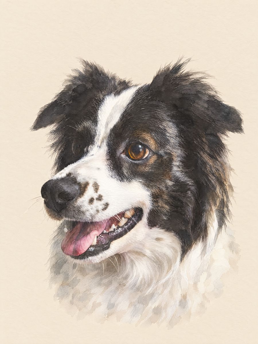 A watercolour-style pet portrait, made from a sample photo