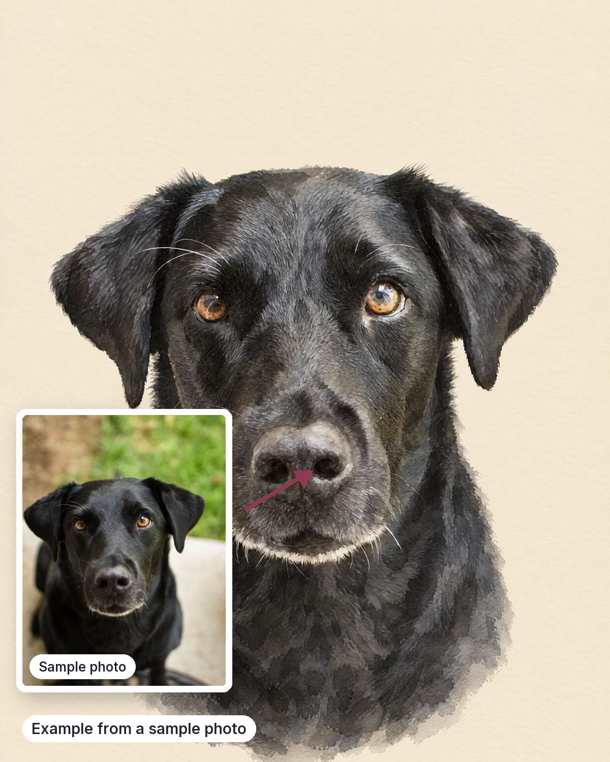 Example from a sample photo, shown next to the sample photo