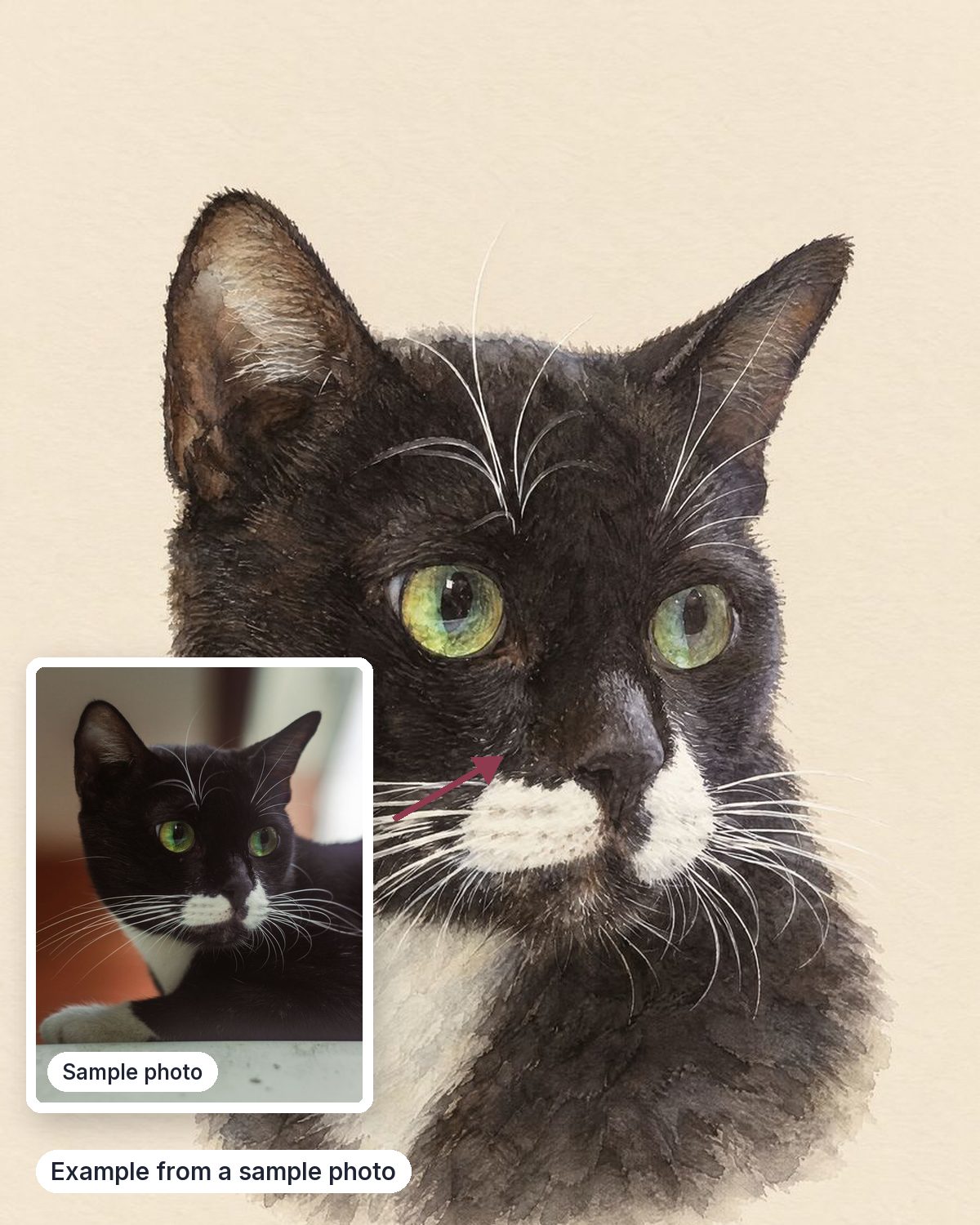 Example from a sample photo, shown next to the sample photo