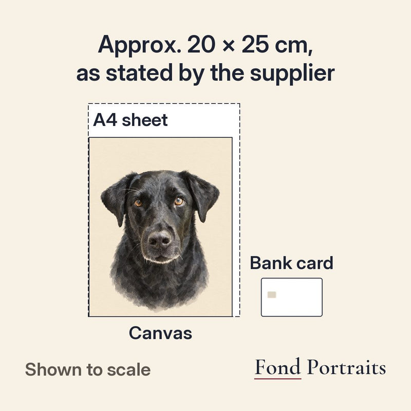 Shown to scale