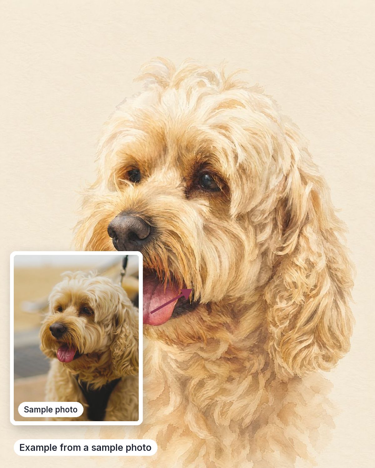 Example from a sample photo, shown next to the sample photo